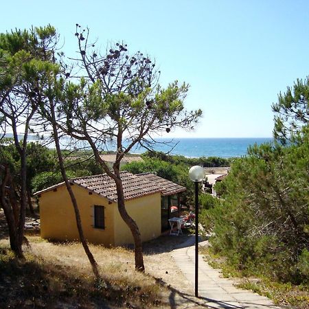 Camping Golfo Dell'Asinara بلاتامونيس المظهر الخارجي الصورة
