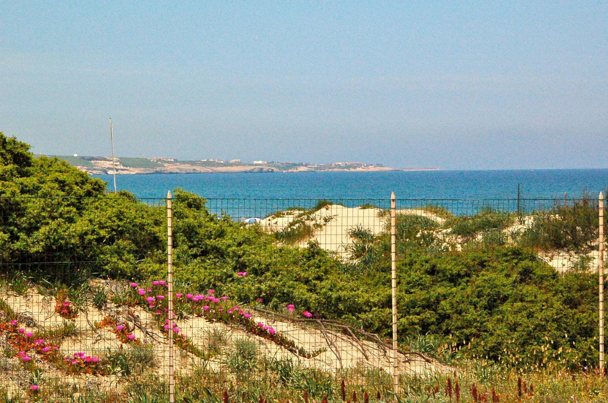 Camping Golfo Dell'Asinara بلاتامونيس المظهر الخارجي الصورة