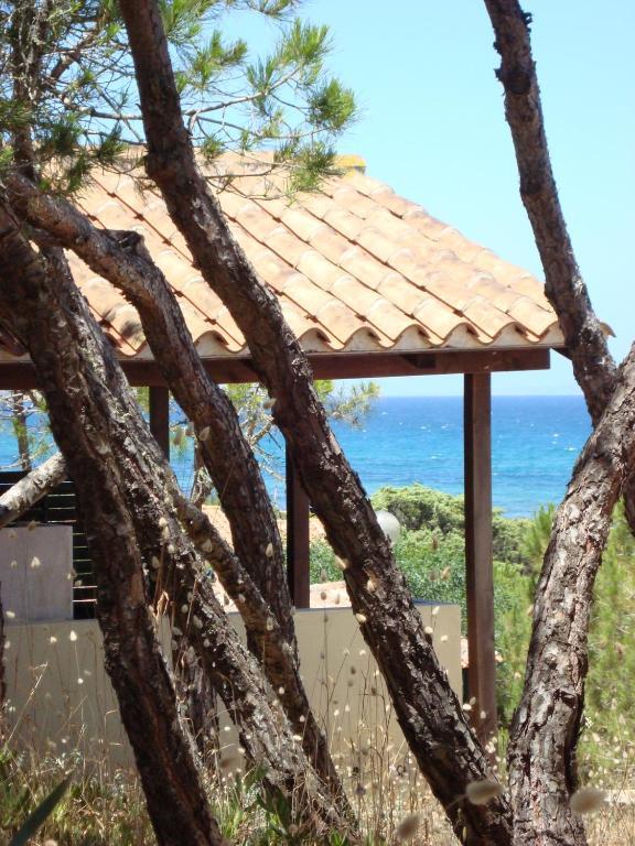 Camping Golfo Dell'Asinara بلاتامونيس الغرفة الصورة