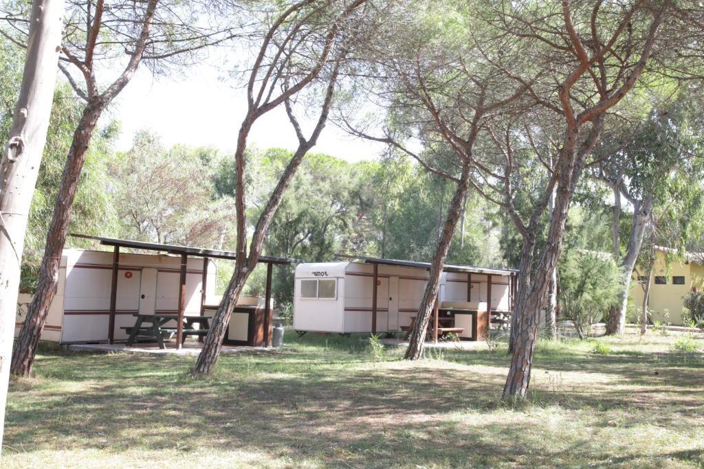 Camping Golfo Dell'Asinara بلاتامونيس الغرفة الصورة