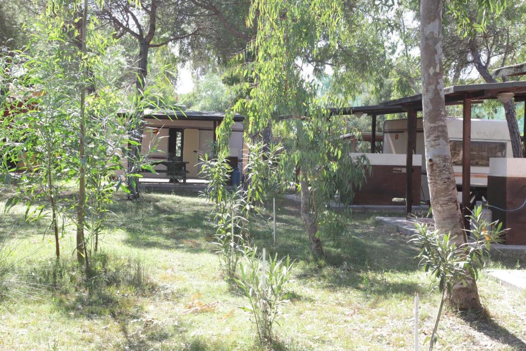 Camping Golfo Dell'Asinara بلاتامونيس الغرفة الصورة