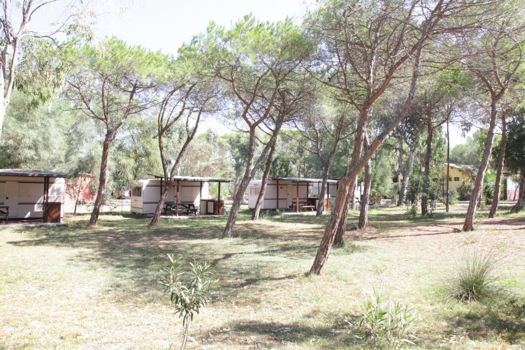 Camping Golfo Dell'Asinara بلاتامونيس الغرفة الصورة