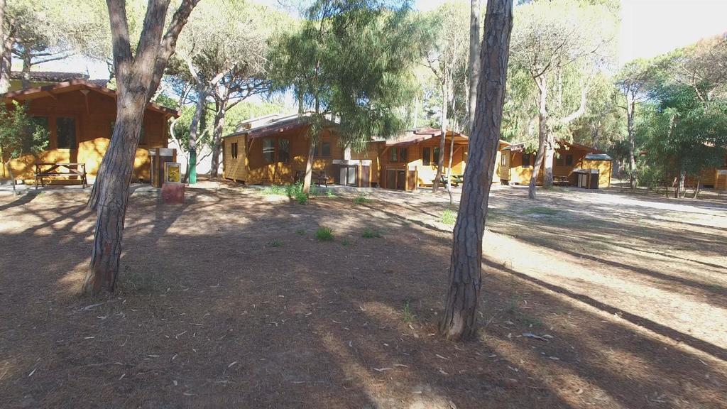 Camping Golfo Dell'Asinara بلاتامونيس المظهر الخارجي الصورة